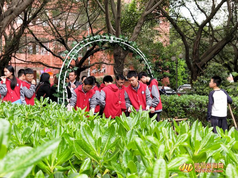 成都一中学设校园农场 上课就是种藕栽花打鱼